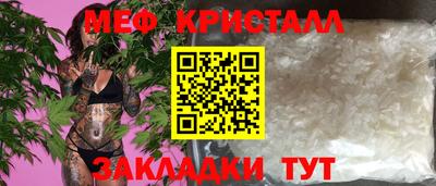 прущие грибы Новозыбков