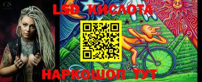 прущие грибы Новозыбков