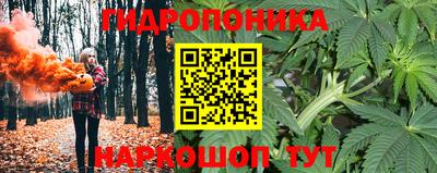 прущие грибы Новозыбков