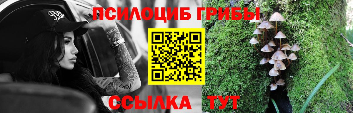 Галлюциногенные грибы ЛСД Брянск